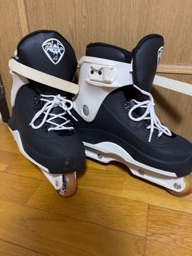 (お話中)アグレッシブインラインスケート