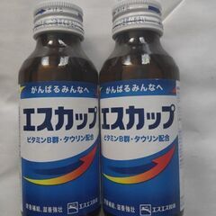 エスカップ 2本