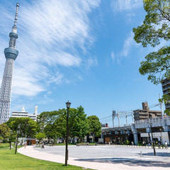 テレビ局と連携したい旅行会社の方