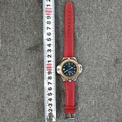 TEXSWISS(テックススイス) コンパス付き HWハンティング･ワールド《不動》の画像