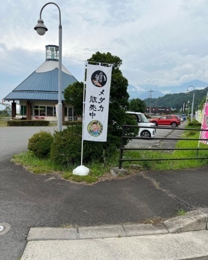 メダカ販売します！8月30日火曜日