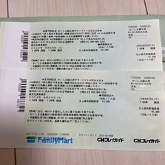 サマーナイト　有料観覧席　椅子席　2枚　ペアチケット
