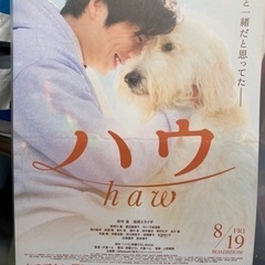 haw ハウ　田中圭　ムビチケ　未使用の画像