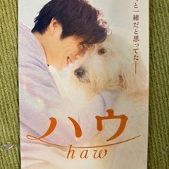 haw ハウ　田中圭　ムビチケ　未使用