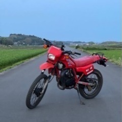 MTX50