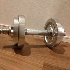 【お取引中】　中古　鉄アレイ　10キロの画像