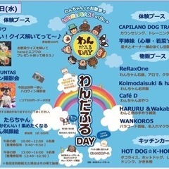 8月わんだふるday開催のお知らせです！