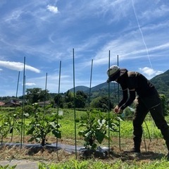 南足柄で農業をやってらっしゃる方 - 南足柄市