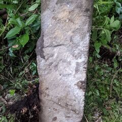 石　　長めの画像