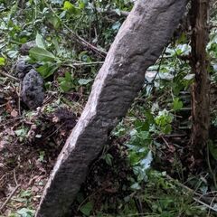 石　　長めの画像