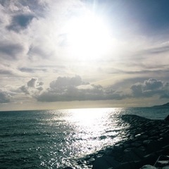写真好き仲間募集。 - 名護市