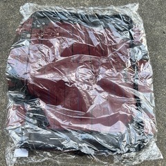 禰󠄀豆子バック！