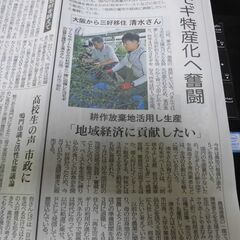 【太陽光発電を農地で行っています】収穫等業務委託先を探しています！！！