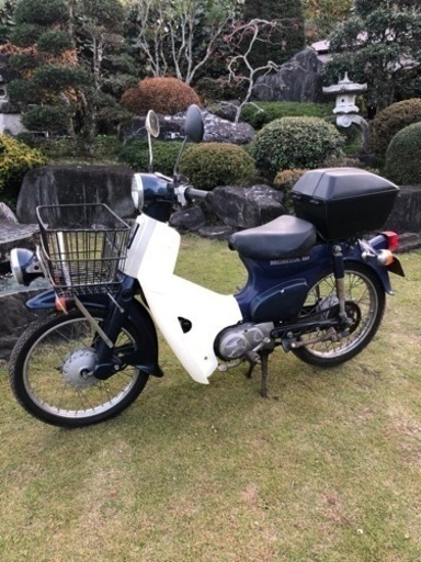 リトルカブ　メンテ必要