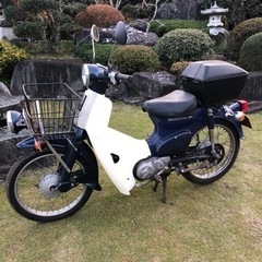 リトルカブ　メンテ必要