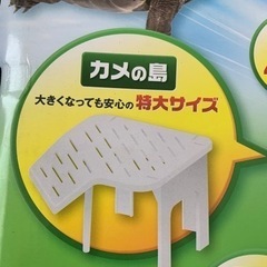 カメ飼育用品セット！の画像