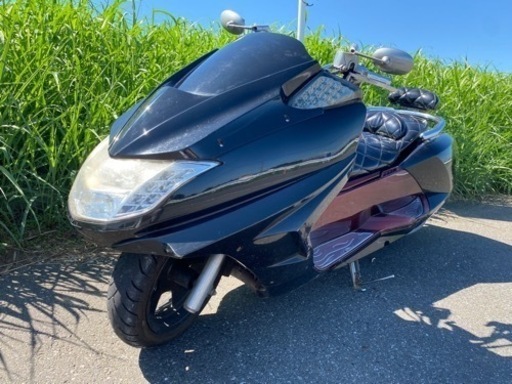 めちゃカスタム YAMAHA ヤマハ MAXAM マグザム（CP250）SG17J