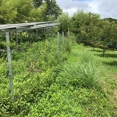 草刈りなど庭の手入れさせて頂きますので放置農機具と交換しませんか。もちろん作業のみも全然大丈夫です！ - 松阪市