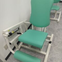 レックエクステンション