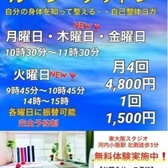 身体は使わないと硬くなり弱まる⁉️適度な運動を習慣に(自己整体ヨガ)