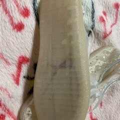 夏用スニーカー24.5cmの画像