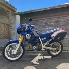 （受け渡し者決定しました）実動オンオフ両用HONDA AX-1 パニヤケース付き!の画像