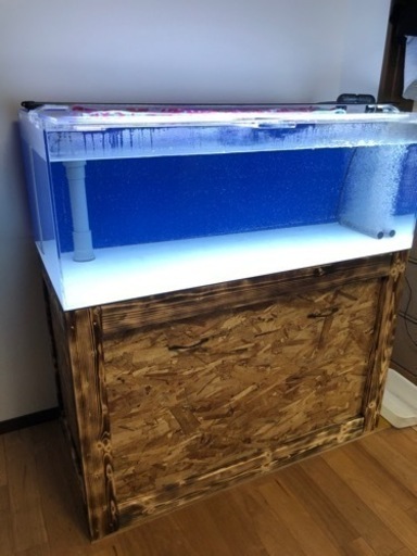 1200OF水槽　生体セット