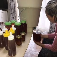 日本蜜蜂の巣箱を置かせてくれる方居ませんか？ - 助け合い