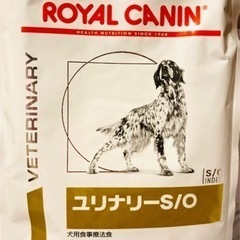 🐶格安❗️犬用　ロイヤルカナン　下部尿路疾患用
