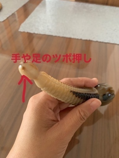 天然水牛の角 ツボ押し  かっさグッズ　美容液の導入　美顔  リンパマッサージ
