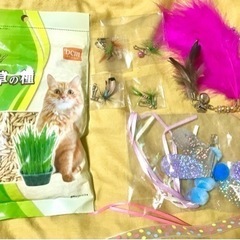 【お話し中】猫用釣竿の交換用玩具&猫草の種セット