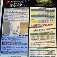 【寄生虫や痩せ細りに効果抜群！】最新のメダカ餌　パラクリア　25gの画像