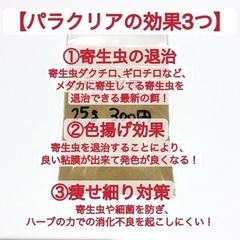 【寄生虫や痩せ細りに効果抜群！】最新のメダカ餌　パラクリア　25gの画像