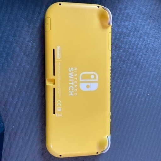 Nintendo Switch light +モンハン　8/20お渡し
