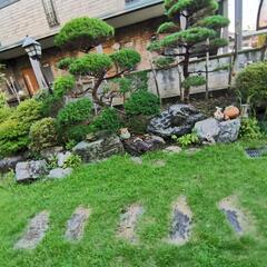 庭石