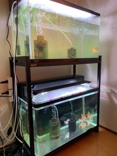 60cm 水槽　全セット