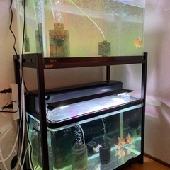 60cm 水槽　全セット