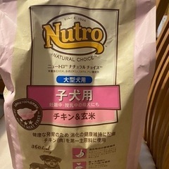 ニュートロ　子犬用　（大型犬）　3キロ