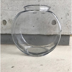 金魚鉢　メダカ鉢＋メダカ　極龍　緑光　みゆき　どれでも合わせて10匹　水草セットで1000円の画像