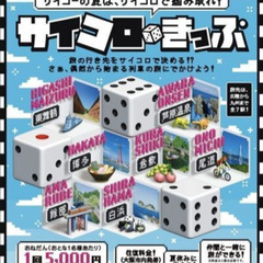 大阪市内⇆白浜★往復★サイコロきっぷ２枚★