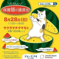 たのしい保護猫の譲渡会