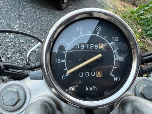 ビラーゴ250 3DM