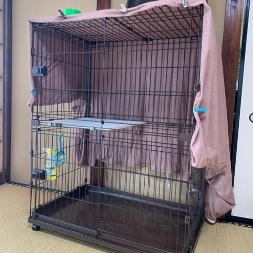 猫のゲージ