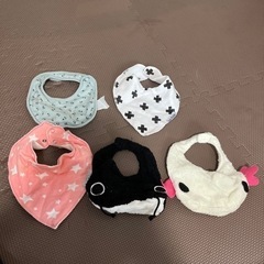 スタイの画像
