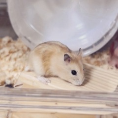 これから時間がある人遊びませんか？