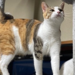 ❤️家族になってくれる方募集❤️