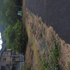 手伝いに来て下さい。