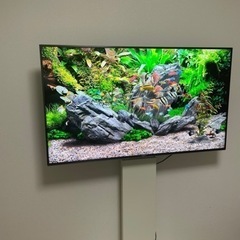 【条件あり値引き】テレビ　KJ-49X9500G 4K液晶テレビ　（テレビスタンド付き）