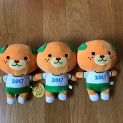 決まりました　みきゃん　えひめ国体2017ぬいぐるみ　3セット