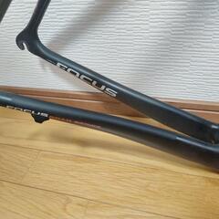 【通販 人気】 FOCUS CAYO 2011年モデル カーボンフレーム size54 自転車本体